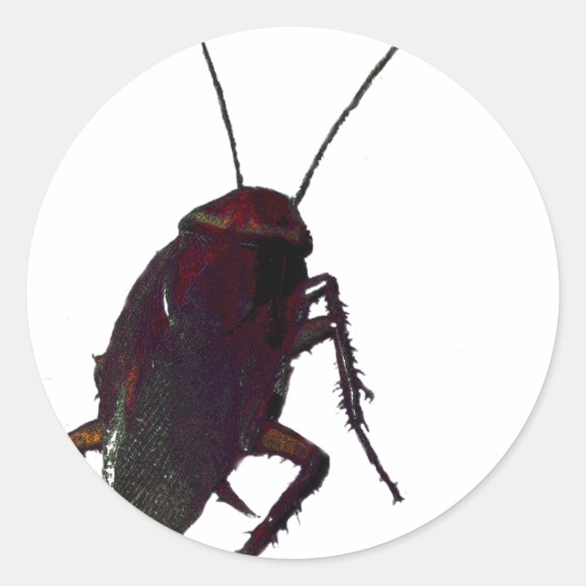 Crunchy Cockroach Classic Round Sticker (Front)