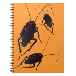 Crunchy Cockroach  Notebook