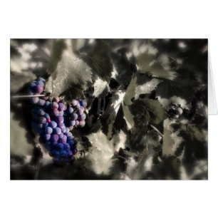 Crush at Tefft Cellars main vineyard