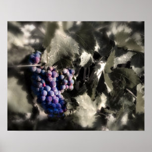 Crush at Tefft Cellars main vineyard Poster
