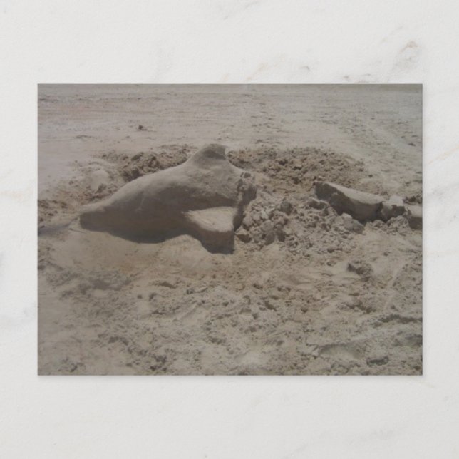 Crushed Dolphin Sandcastle Postcard (Front)