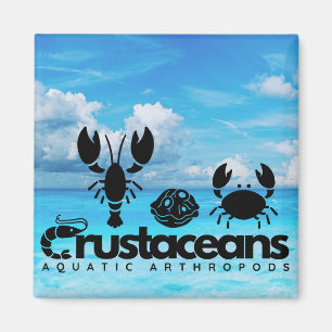 Crustaceans - Aquatic Arthropods Magnet