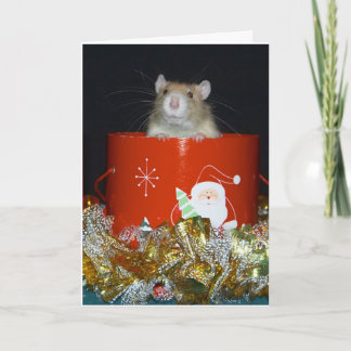 CRW_9063 HOLIDAY CARD