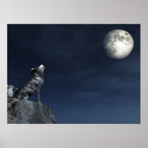 Crying Wolf Poster