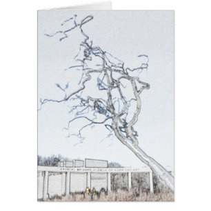 Crystal Bridges Museum of American Art