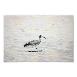 Crystal Cove State Park Photo Print