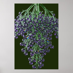 Crystal Elderberry Poster — Crystal Harvest