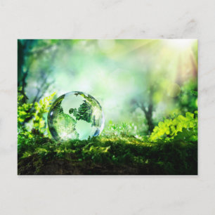 Crystal globe in a green forest postcard