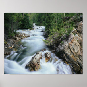 Crystal River, Gunnison National Forest, Poster