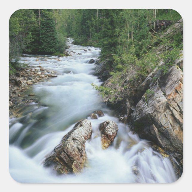 Crystal River, Gunnison National Forest, Square Sticker (Front)