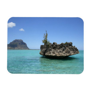 Crystal rock composed of coral magnet