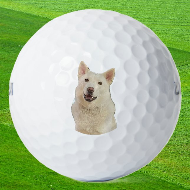 Crystal the Happy Husky Dog - Golf Balls (crystal golf ball)