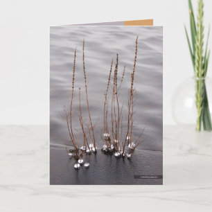 Crystalline Edge Card