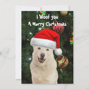 Crystal's The Husky Dog Christmas Flat Card