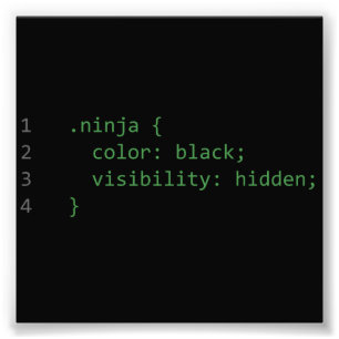 CSS Coding Ninja Photo Print