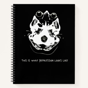CT Scan_CTFOD_Clown Notebook
