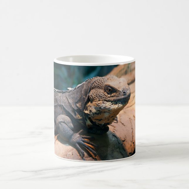 Ctenosaura melanosterna coffee mug (Center)