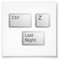 Ctrl Z Undo Last Night Please