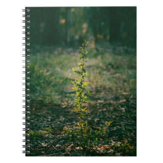 Cuaderno con fotografía de naturaleza notebook