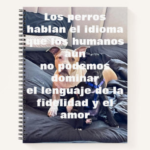 cuaderno notebook