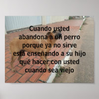 cuando usted abandona un perro