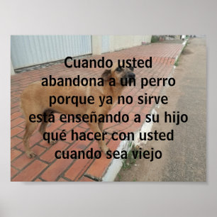 cuando usted abandona un perro  poster