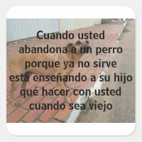 cuando usted abandona un perro