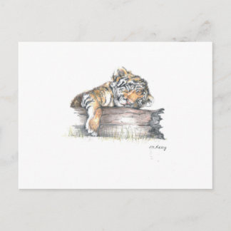 Cub sleeping postcard