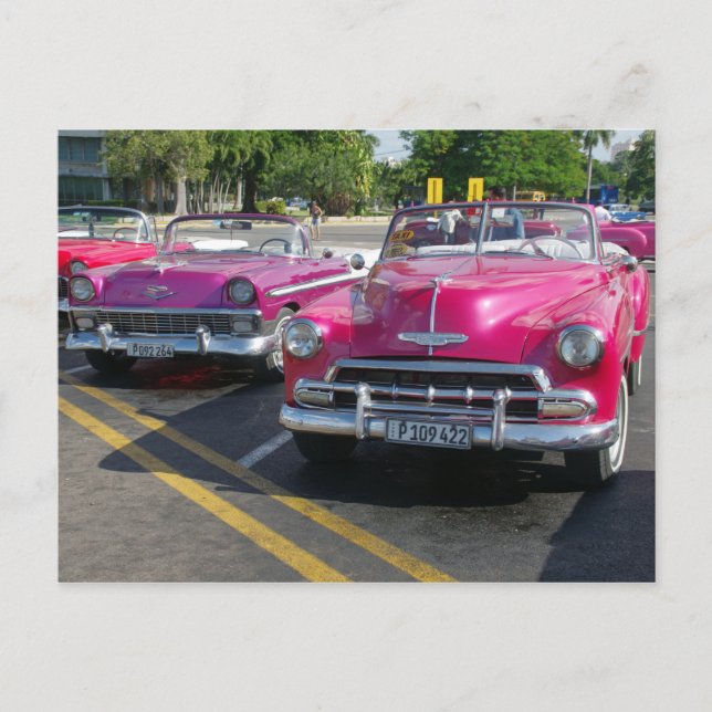 Cuba Classic Cars Pink Cars Convertible  Postcard (Front)