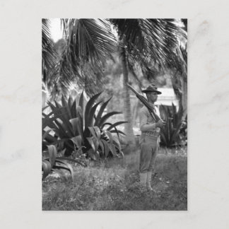 Cuba, Guantanamo Sentry beneath palms_War Image Postcard