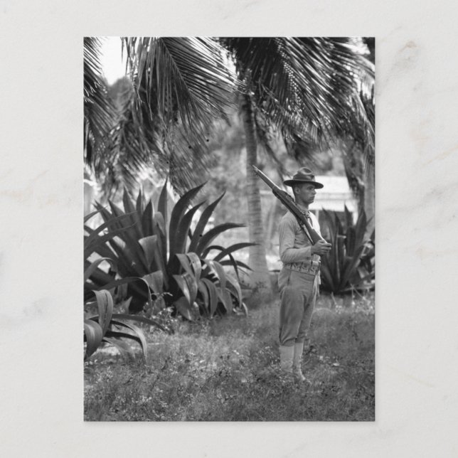 Cuba, Guantanamo Sentry beneath palms_War Image Postcard (Front)