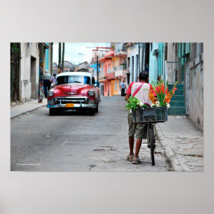 Cuban Florist Poster