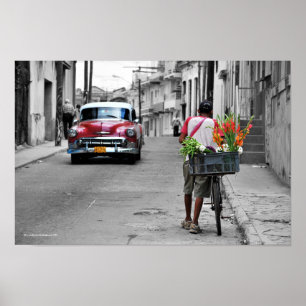Cuban Florist Poster