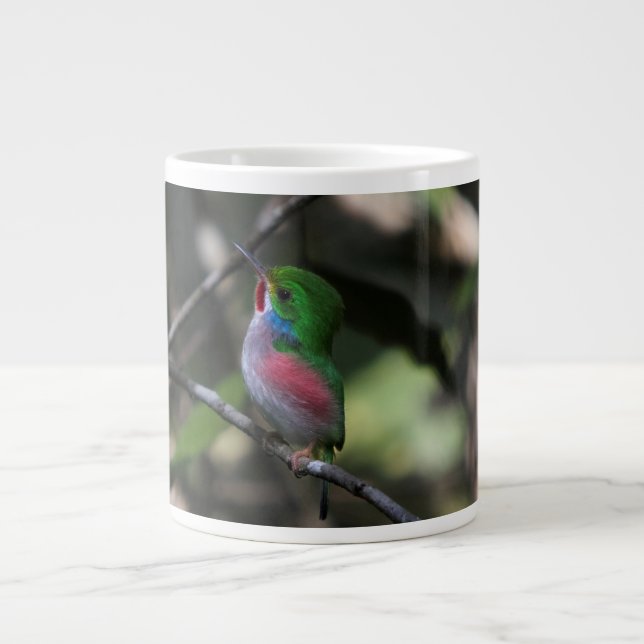 Cuban Tody Large Coffee Mug (Front)
