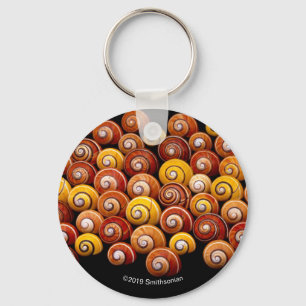 Cuban Tree Snails Key Ring
