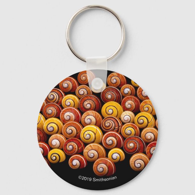 Cuban Tree Snails Key Ring (Front)