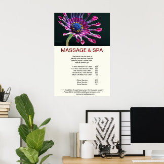  Cubane Spider Plant with Pink Chrysanthemums Poster