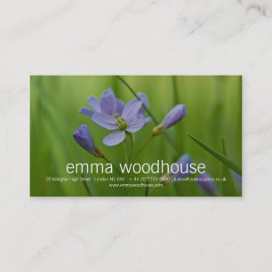 Cuckoo Flower Business Card