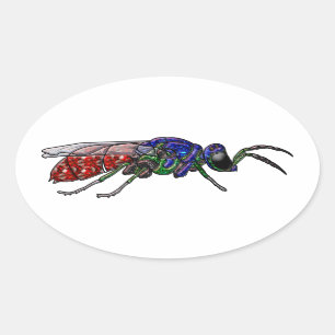 Cuckoo Wasp Oval Sticker
