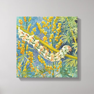 Cucullia Absinthii Wormwood Caterpillar Canvas Print