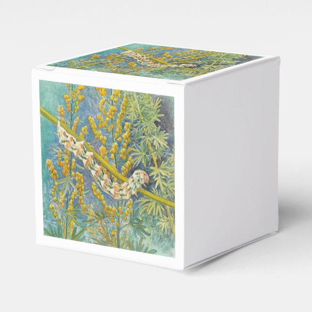 Cucullia Absinthii Wormwood Caterpillar  Favour Box (Front Side)