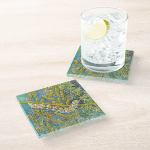 Cucullia Absinthii Wormwood Caterpillar  Glass Coaster