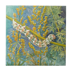 Cucullia Absinthii Wormwood Caterpillar  Tile