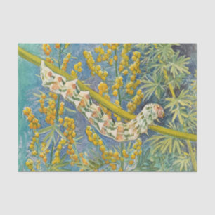 Cucullia Absinthii Wormwood Caterpillar  Tissue Paper