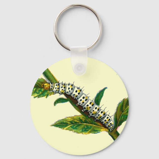 Cucullia verbasci caterpillar key ring (Front)
