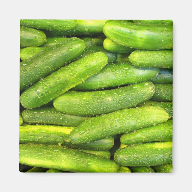 Cucumber Magnet 01 (Front)