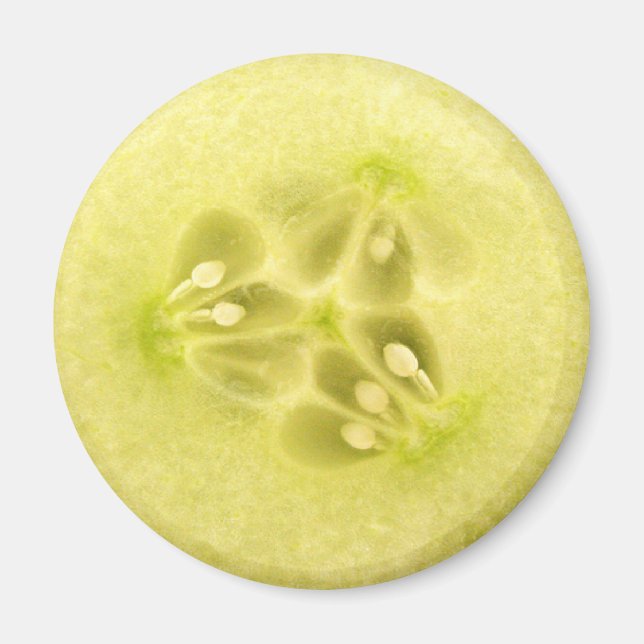 Cucumber slice magnet (Front)