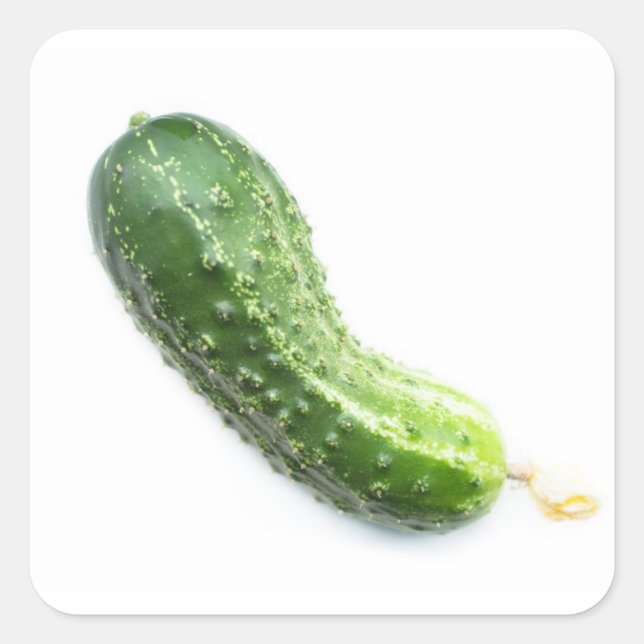 Cucumber Square Sticker (Front)