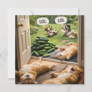 Cucumbers prank on wrong card