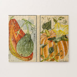 Cucurbita pepo - Seikei Zusetsu Jigsaw Puzzle